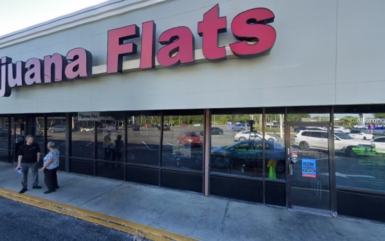 61551 carrollwood tree service 1 768x480