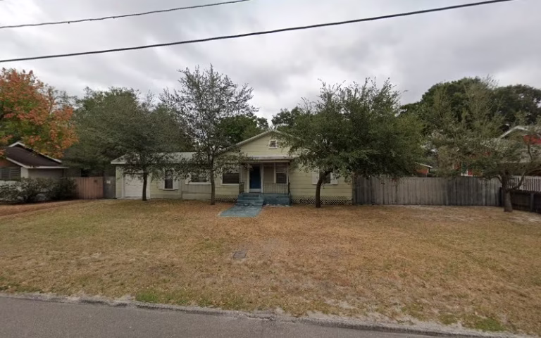 61657 everyday tree experts 1 768x480