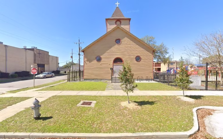 61678 tree care new orleans 768x480