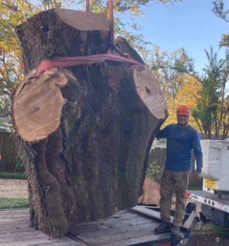 61693 benton tree service 1