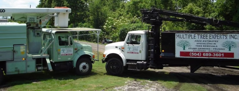 61713 multiple tree experts inc 1 768x292