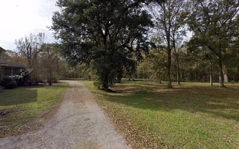 61733 trees unlimited 1 768x480