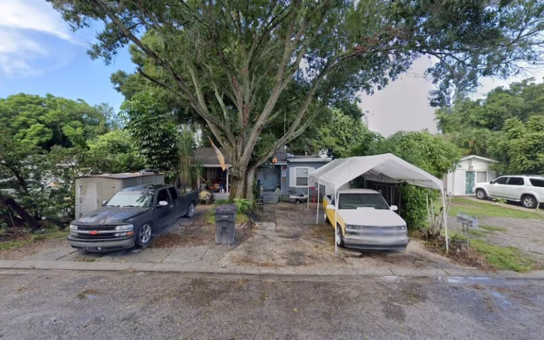 61733 trees unlimited 4 768x480