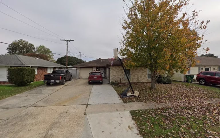 61760 davids tree and stump service 1 768x480