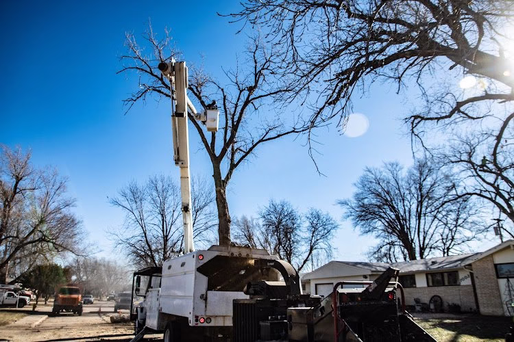 61796 wichita tree service llc 1