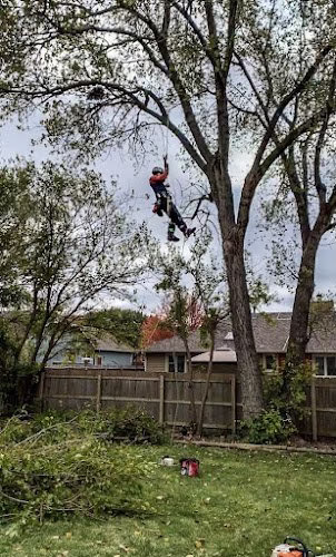 61814 chappell tree service 1