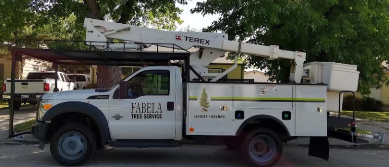 61864 fabela tree service 1 768x330
