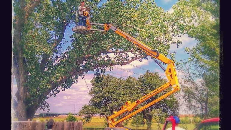 61867 moores tree service 768x432