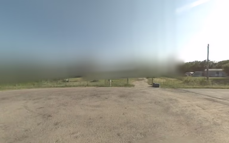 61870 rates tree service 1 768x480