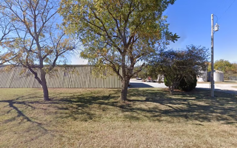 61882 tree moving specialists 1 768x480