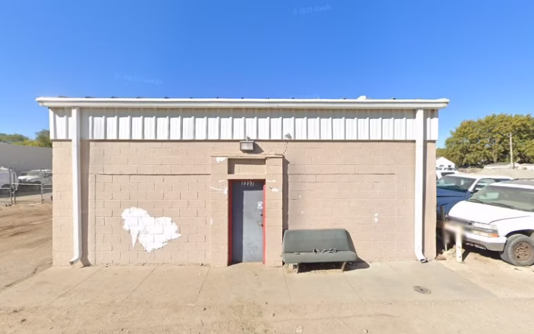 61913 dragonfly lawn tree care 768x480