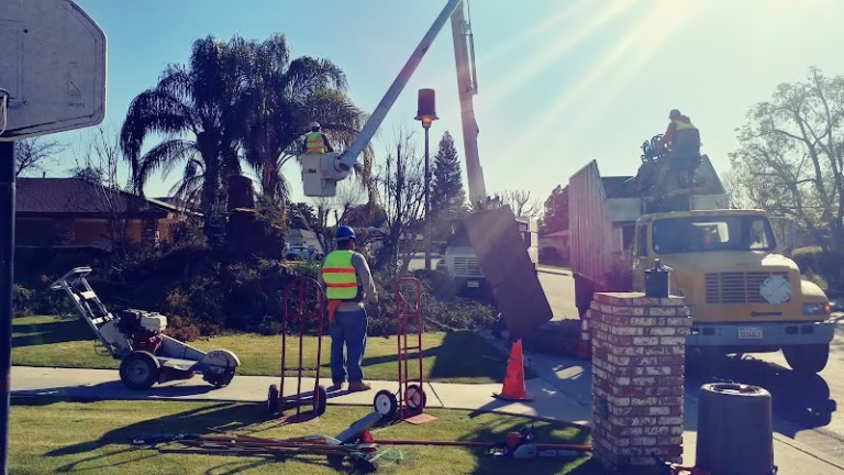 61972 cervantes tree services 768x432