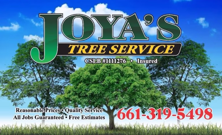 62032 joyas tree service 1 768x468