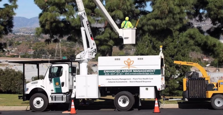 62058 enhanced arbor management 1 768x396