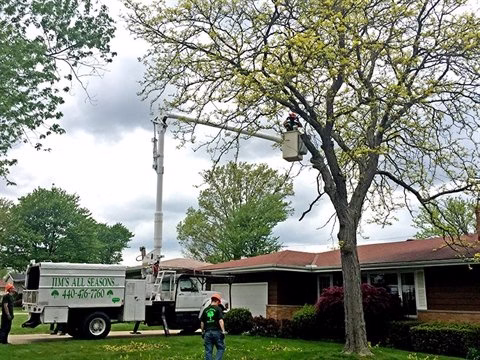 62096 jims all seasons llc 1