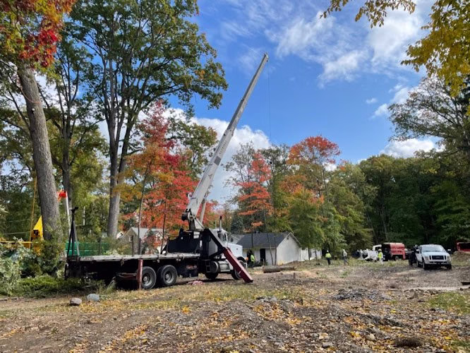 62108 robert tree service llc 1