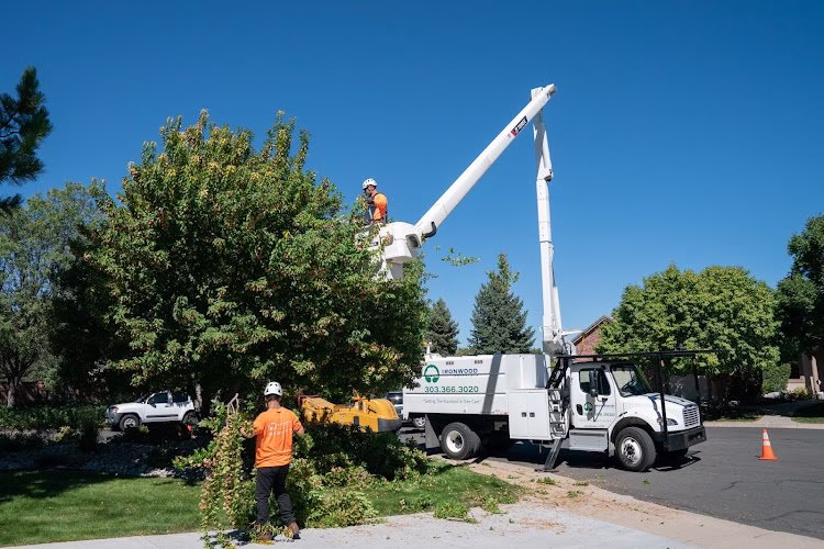 62288 ironwood earthcare 1