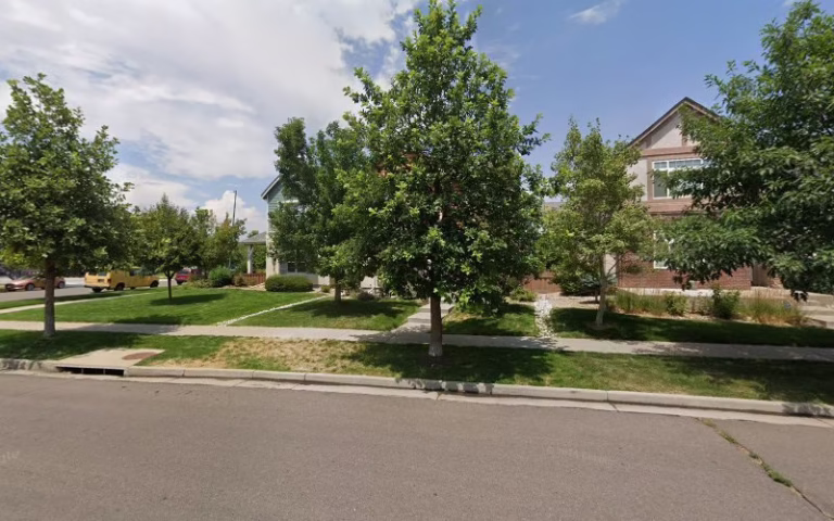 62291 ojaylis tree service 768x480