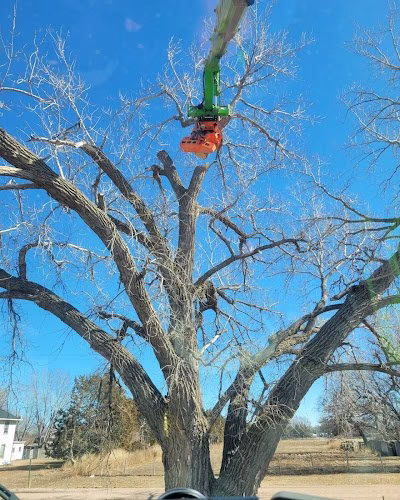 62331 mcendarfer tree service 1