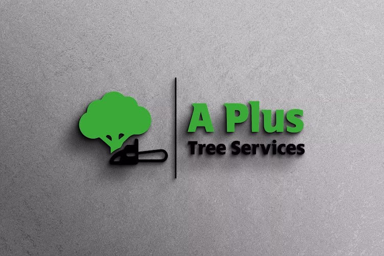 62343 a plus tree services inc 1