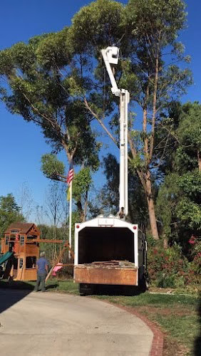 62375 ac son tree service 1