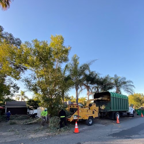 62405 premier tree experts 1