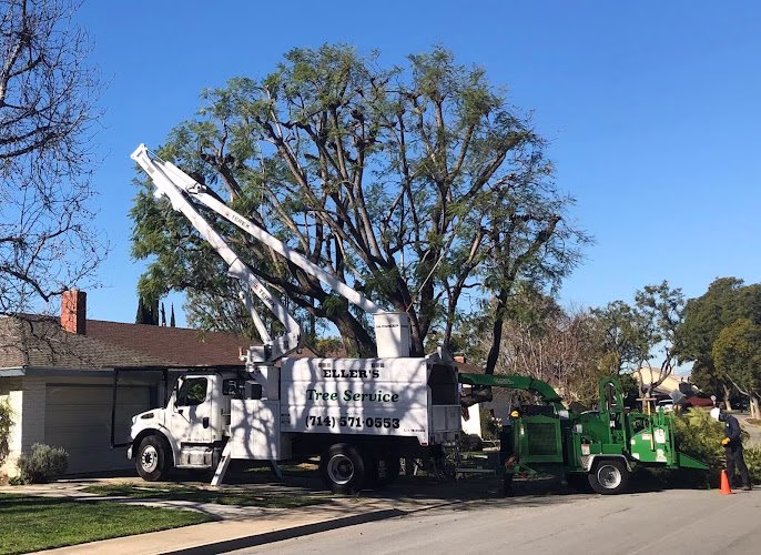 62444 ellers tree service 1