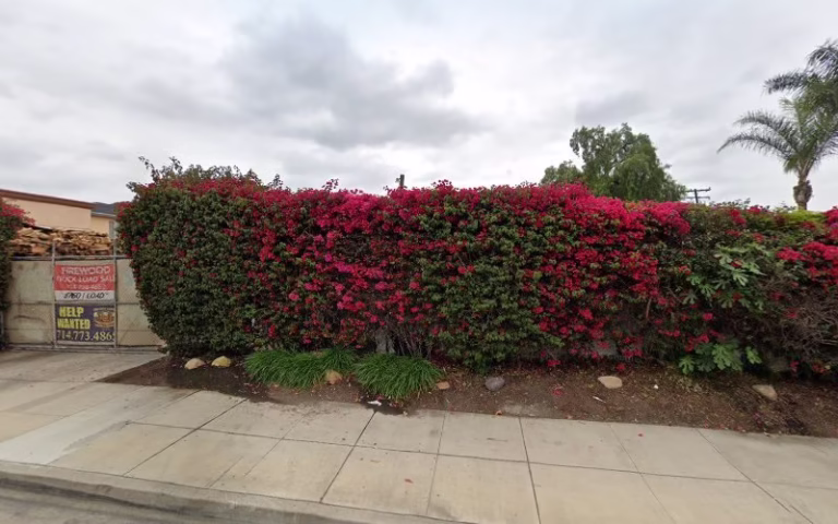 62467 jeff buchanan tree services 1 768x480