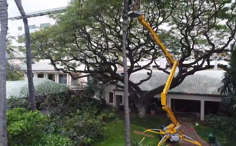 62490 kendall landscape services 768x476