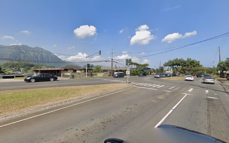 62514 trees of hawaii inc 1 768x480