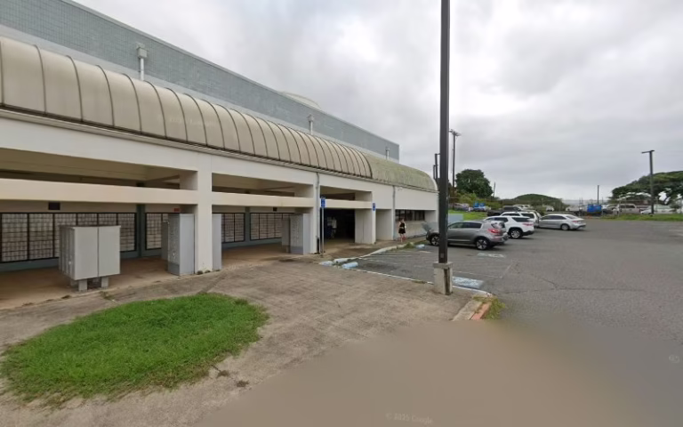 62526 hits hi island tree service 1 768x480