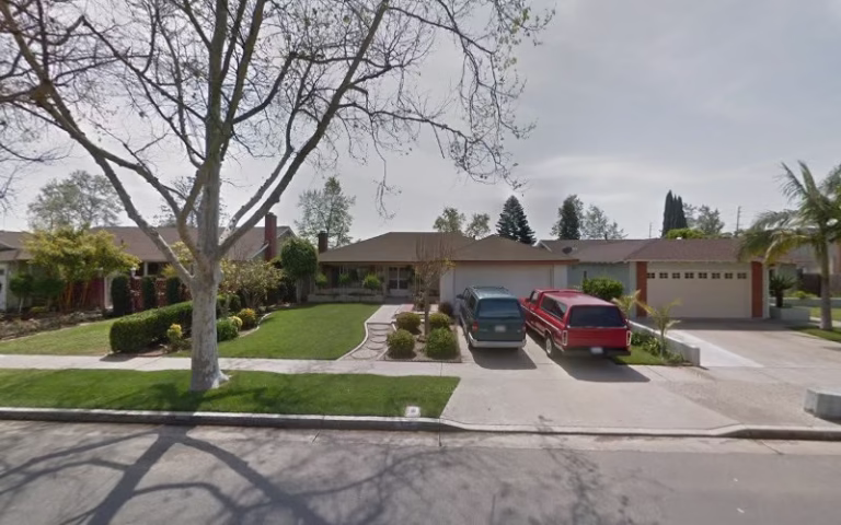 62550 upright tree service of santa ana 1 768x480