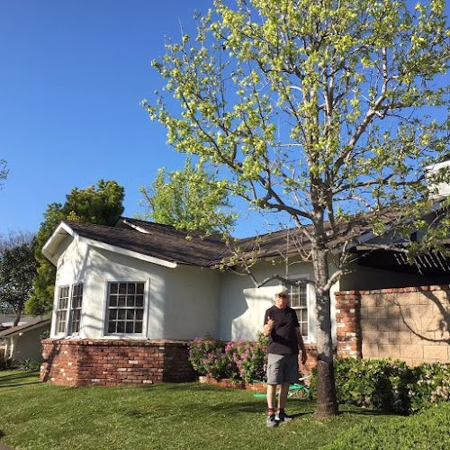 62553 ernie ureno tree service inc 1