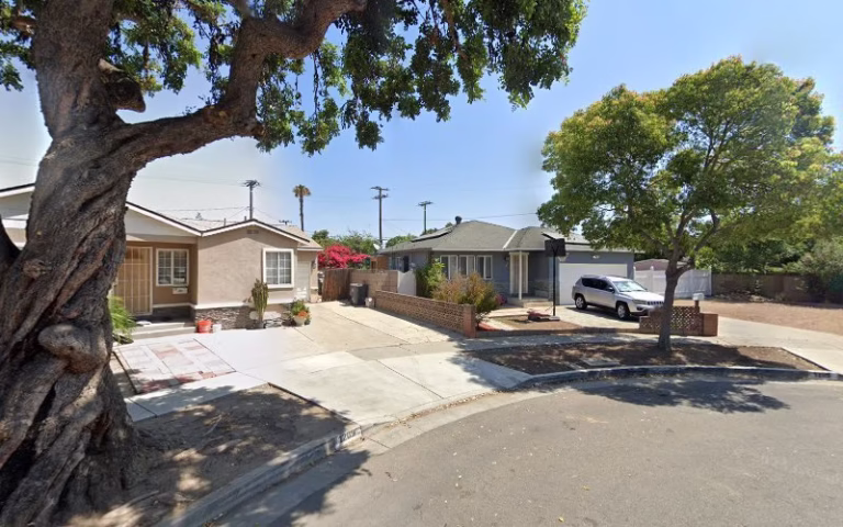 62556 cortez tree services landsc 1 768x480