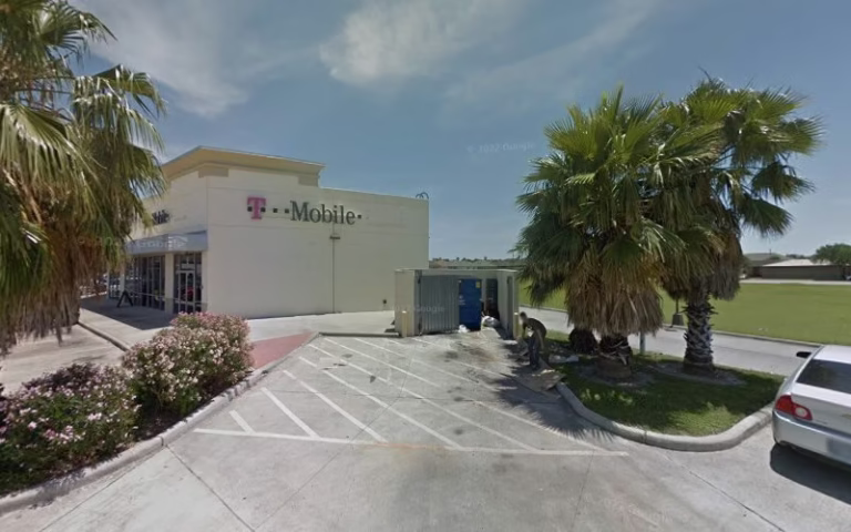 62731 mm landscaping trees 768x480