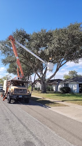 62739 als tree services 1