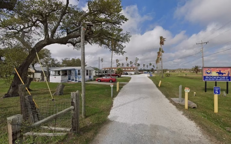 62766 coastal bend tree service 768x480