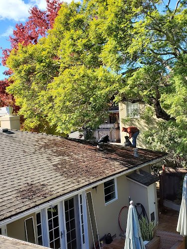 6286 bright windows more 1