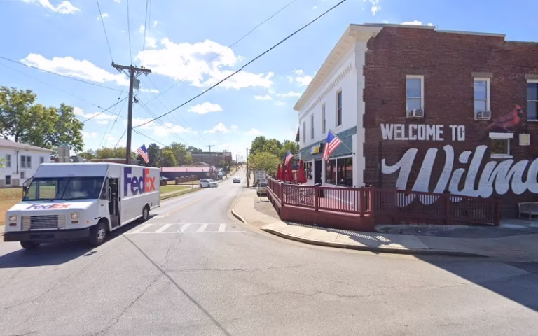 62931 tree care by trenton 1 768x480