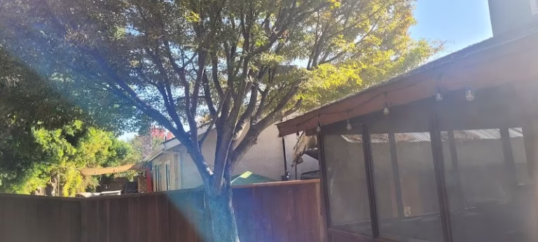 63047 independent tree surgeons 1 768x346