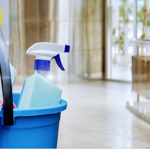 6307 davids house cleaning 1