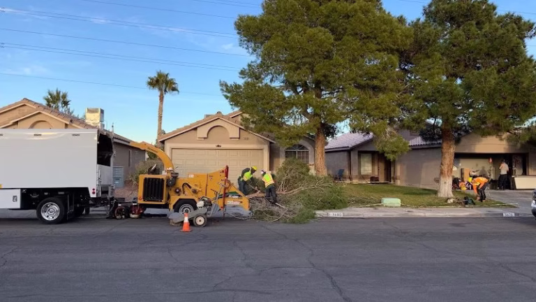 63083 green america tree landscaping llc 768x432