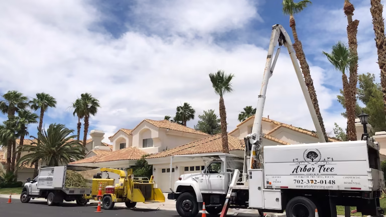 63115 arbor tree landscape tree removal tree trimming landscaping 768x432