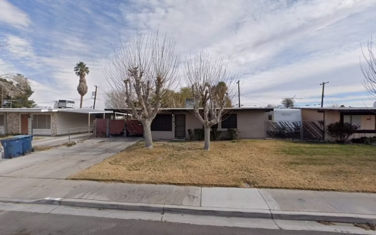 63127 sun city tree service 1 768x480