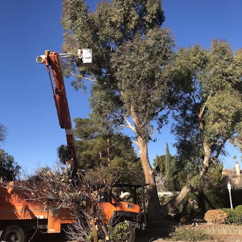 63142 tree service las vegas 1