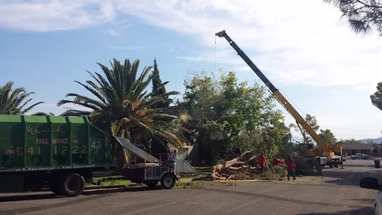 63157 vegas best tree service 768x432