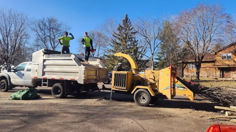 63260 cameron tree service 768x432