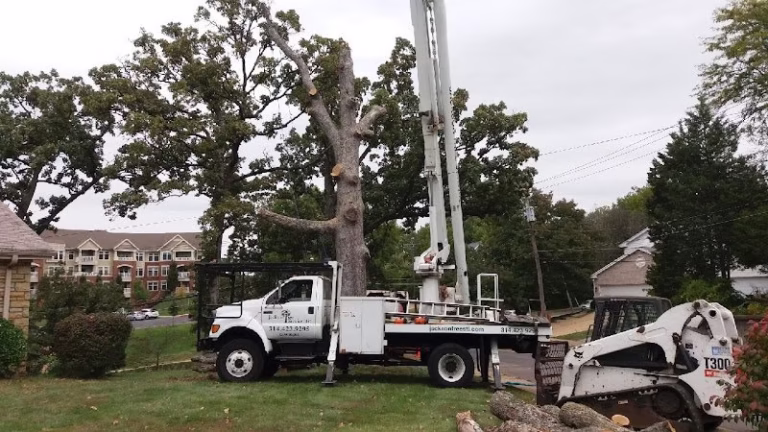 63301 jackson tree service 768x432