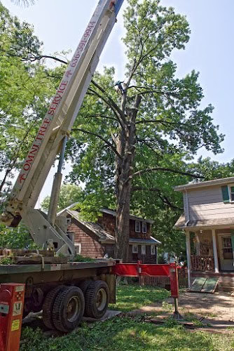 63331 omni tree service inc 1