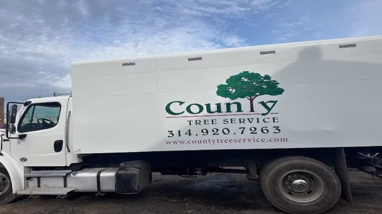 63346 county tree service 768x432